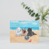 Westie mit Cairn Terriers am Strand Postkarte (Stehend Vorderseite)