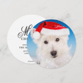 Westie mit Weihnachtsmannmütze und Bart Feiertagskarte (Vorne/Hinten)