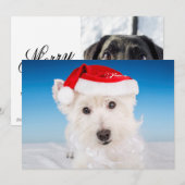 Westie mit Weihnachtsmannmütze und Bart Feiertagskarte (Vorne/Hinten)