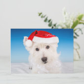 Westie mit Weihnachtsmannmütze und Bart Feiertagskarte (Stehend Vorderseite)