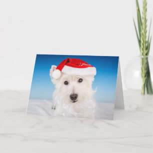 Westie mit Weihnachtsmannmütze und Bart Feiertagskarte