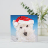 Westie mit Weihnachtsmannmütze und Bart Feiertagskarte (Stehend Vorderseite)