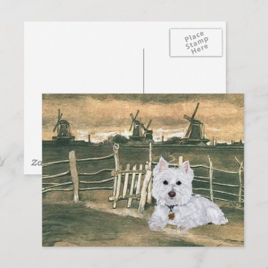 Westie mit Windmühlen Postkarte (Vorne/Hinten)