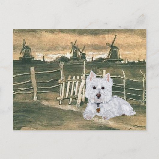 Westie mit Windmühlen Postkarte (Vorderseite)