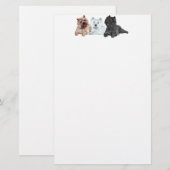 Westie mit zwei Cairn Terriers Briefpapier (Vorne/Hinten)