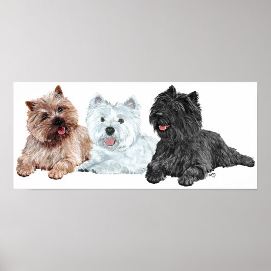 Westie mit zwei Cairn Terriers Poster (Vorne)