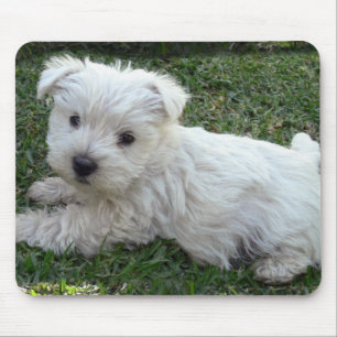 Westie Mousepad