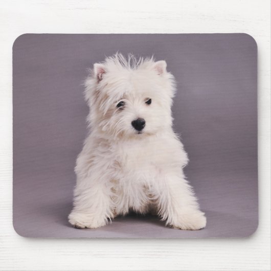Westie mousepad (Vorne)