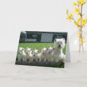 Westie Mutter und Welpen Karte (Gelbe Blume)
