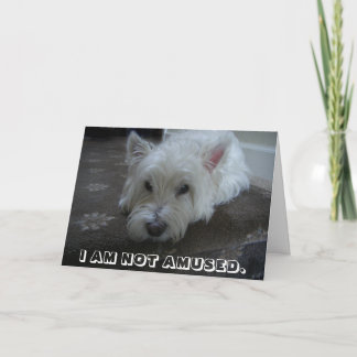 Westie nicht unterhaltene Foto-Gruß-Karte Karte