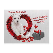 Westie Niedlich Sie haben Mail Puppy Hugs Valentin