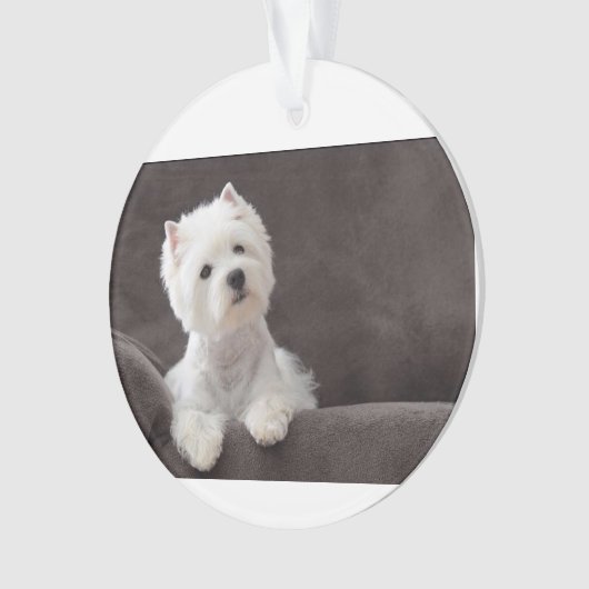 Westie Ornament (Vorderseite)