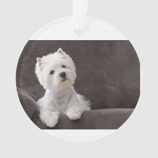 Westie Ornament (Vorderseite)