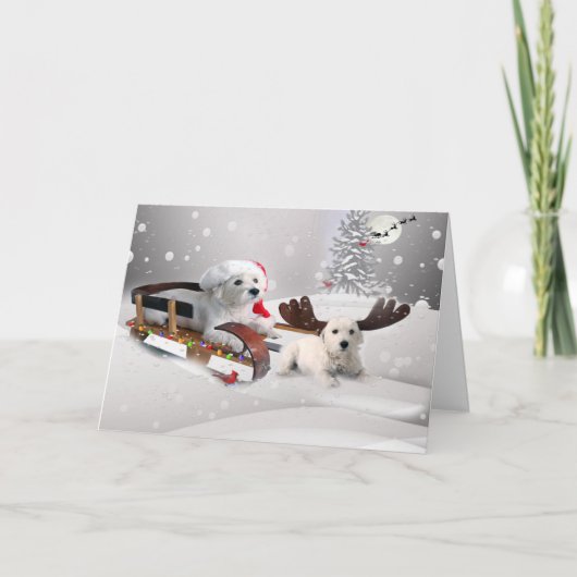 Westie Pals Genießen Weihnachten (Vorderseite)