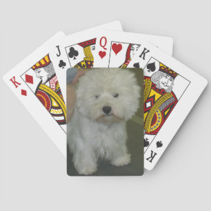 Westie Playing Cards Spielkarten