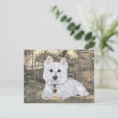 Westie Postcard Postkarte (Stehend Vorderseite)