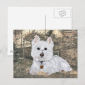 Westie Postcard Postkarte (Vorne/Hinten)