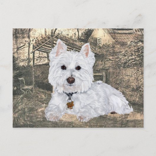 Westie Postcard Postkarte (Vorderseite)