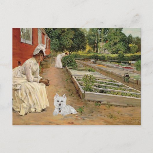 Westie Postcard Postkarte (Vorderseite)