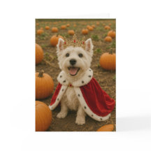 Westie Queen zu Halloween