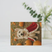 Westie Queen zu Halloween Postkarte (Stehend Vorderseite)