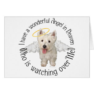 Westie Schutzengel