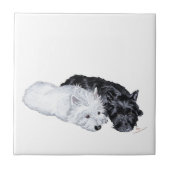 Westie & Scottie bei Ease Fliese (Vorderseite)