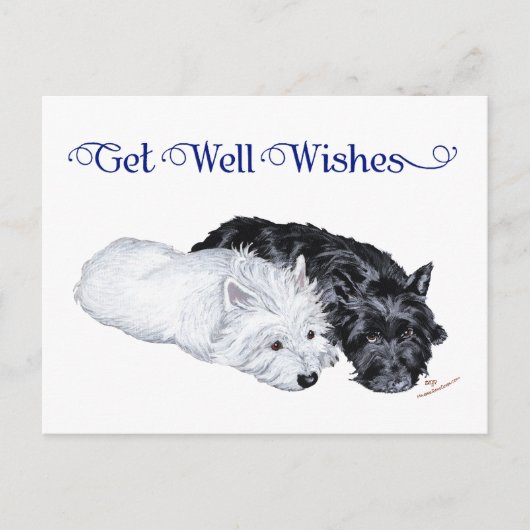 Westie & Scottie bei Ease Postkarte (Vorderseite)