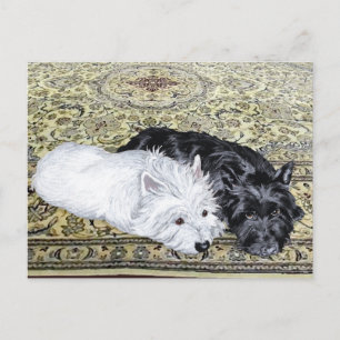 Westie & Scottie entspannt Postkarte