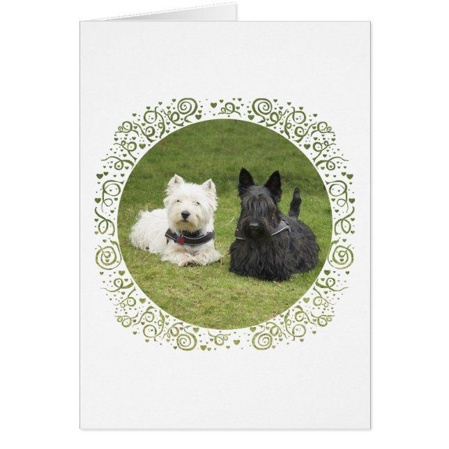 Westie & Scottie Green Grass (Vorne)