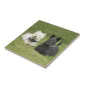 Westie & Scottie Green Grass Fliese (Seite)
