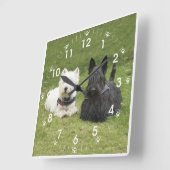 Westie & Scottie Green Grass Quadratische Wanduhr (Winkel)