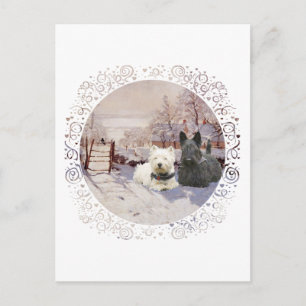 Westie & Scottie Winter Magpie Postkarte
