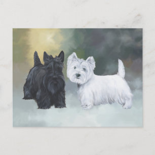Westie Scottie Wintertime Postkarte