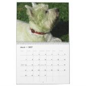 WESTIE SIEHT 2011 AN KALENDER (Mär 2027)