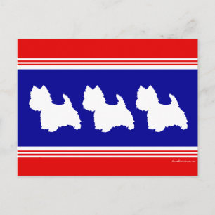 Westie Silhouette Rot, Weiß, Blau Postkarte