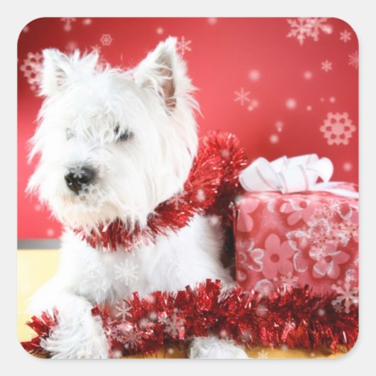 Westie Snowflake Holiday Design Quadratischer Aufkleber (Vorderseite)