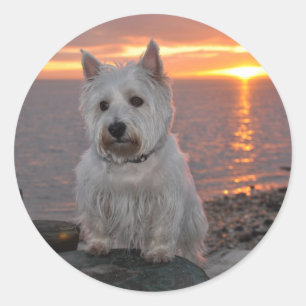 Westie Sonnenuntergang Runder Aufkleber