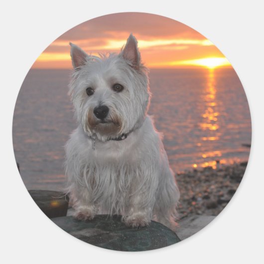 Westie Sunset Runder Aufkleber (Vorderseite)