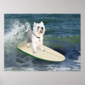 Westie Surfer Poster (Vorne)
