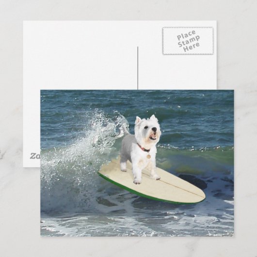 Westie Surfer Postkarte (Vorne/Hinten)