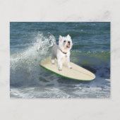 Westie Surfer Postkarte (Vorderseite)