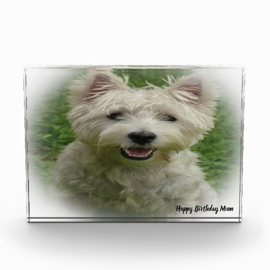 Westie Terrier Dog. Fotoblock (Vorderseite)