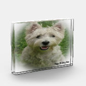 Westie Terrier Dog. Fotoblock (Links)
