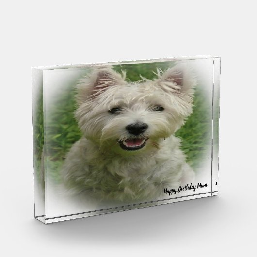 Westie Terrier Dog. Fotoblock (Links)