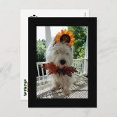 Westie Thanksgiving Turkey Bowtie Feiertagspostkarte (Vorne/Hinten)