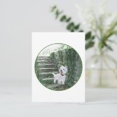 Westie über die ivy-Schritte Postkarte (Stehend Vorderseite)