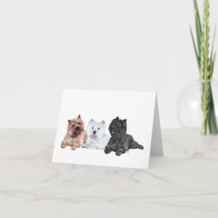 Westie und Cairn Terrier Karte