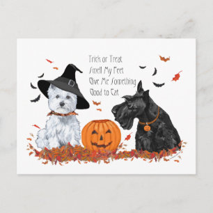 Westie und Scottie Halloween Feiertagspostkarte