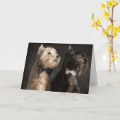 Westie und Scottie Karte (Gelbe Blume)